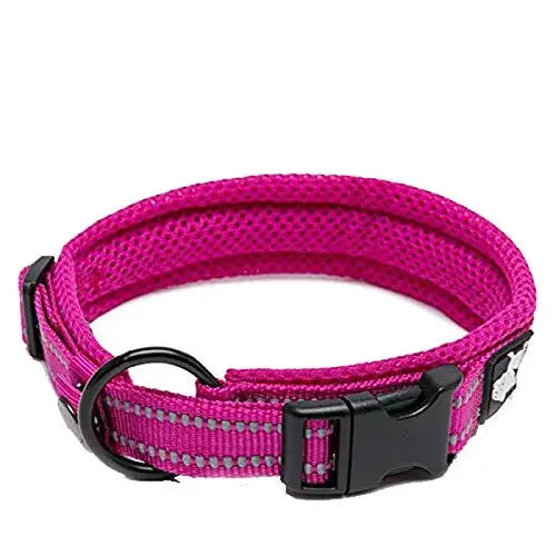 TRUELOVE Nylon Adjustable Dog Collar With Padded Reflective Webbing