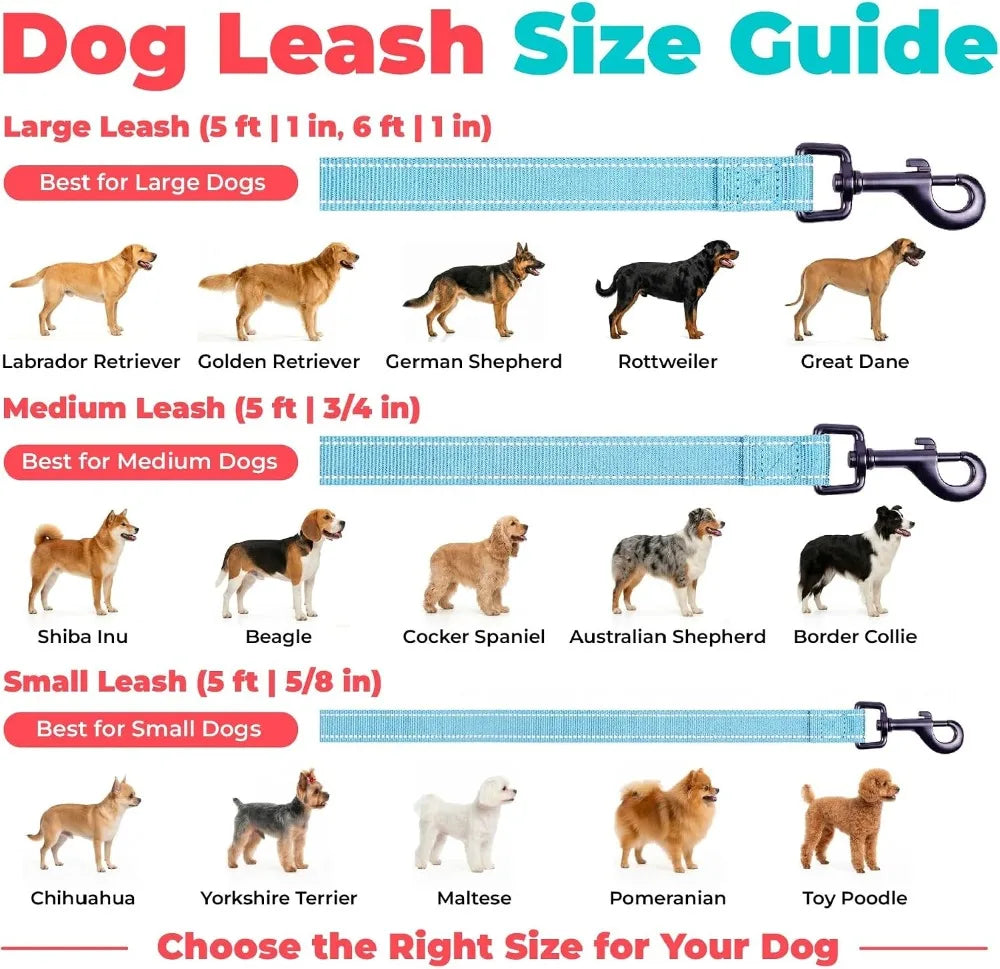 Reflective Dog Leash With Neoprene Handle For Walking And Training
