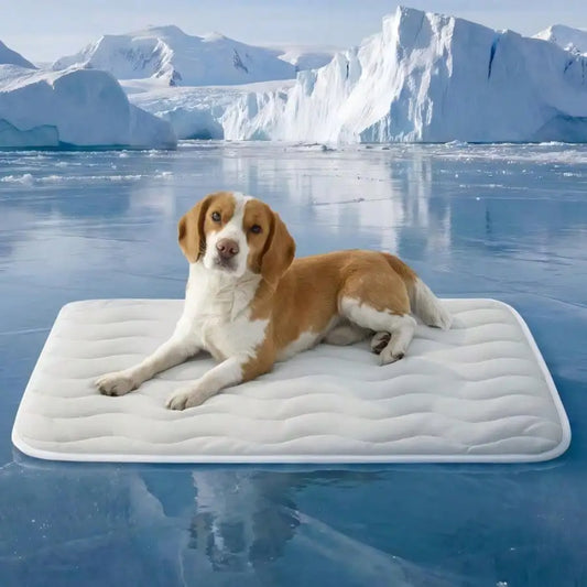 AllSeason Pet Bed For Dogs And Cats Cooling Comfort Mat