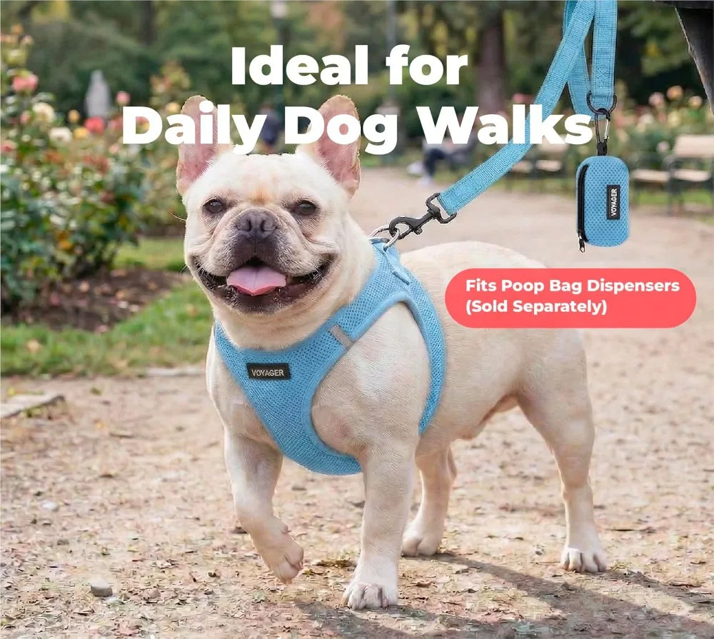Reflective Dog Leash With Neoprene Handle For Walking And Training