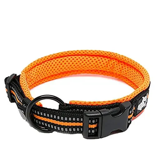 TrueLove Nylon Dog Collar Reflective Padded Adjustable Training