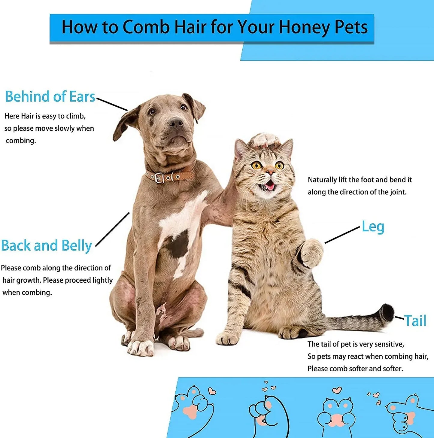 Dog Hair Remover Brush For Cats And Dogs Grooming Daily