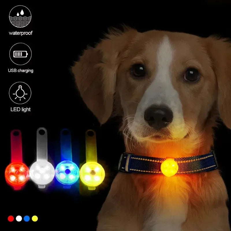 LED Safety Light Dog Cat Collar USB Rechargeable Weatherproof