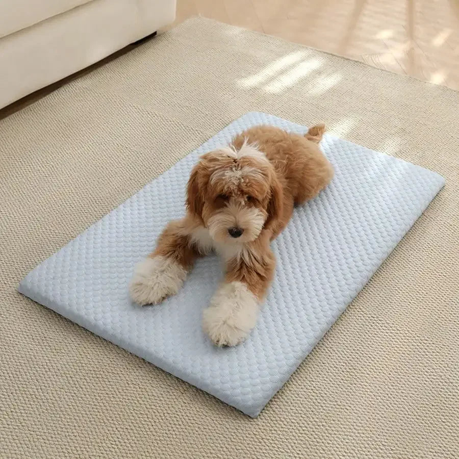 Cooling Cat Bed With Thick Padding Non Slip Washable