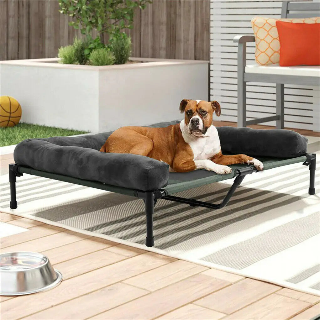 BINGOPAW Elevated Pet Bed For Indoor Outdoor Lounger With Detachable Bolster