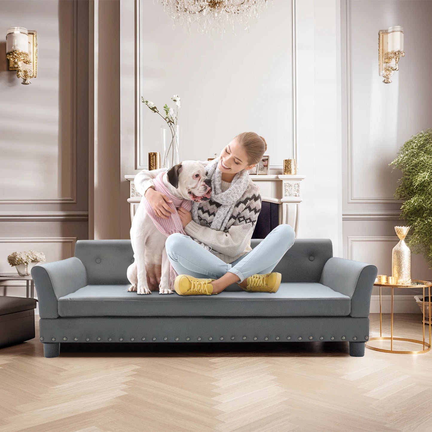 BORWART CN Heavy Duty Raised Pet Sofa Bed For Dogs And Cats