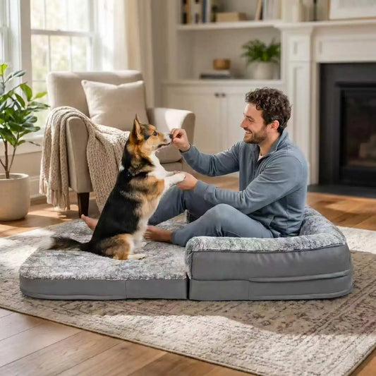 BINGOPAW Orthopedic Dog Bed Sofa With Washable Removable Cover
