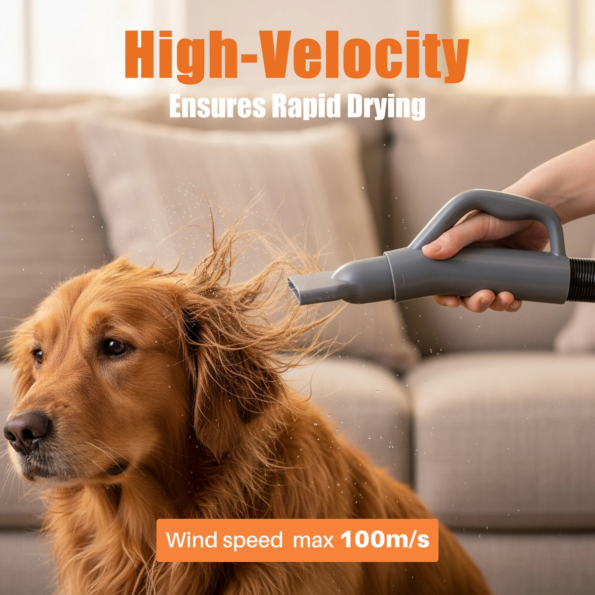 JHK Pet Grooming Vacuum Blow Dryer Kit With Adjustable Heat