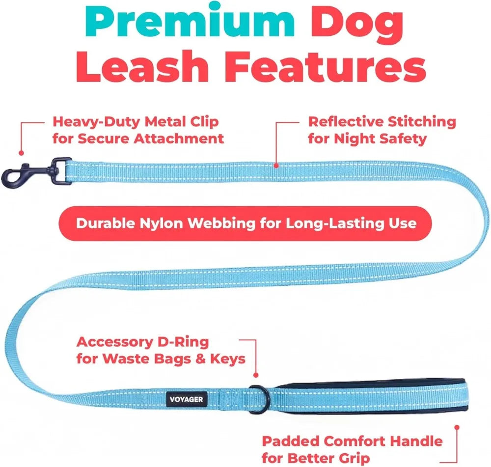 Reflective Dog Leash With Neoprene Handle For Walking And Training