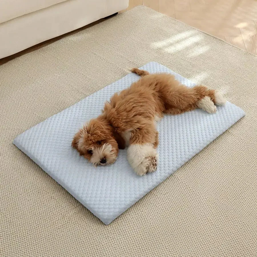 Cooling Cat Bed With Thick Padding Non Slip Washable