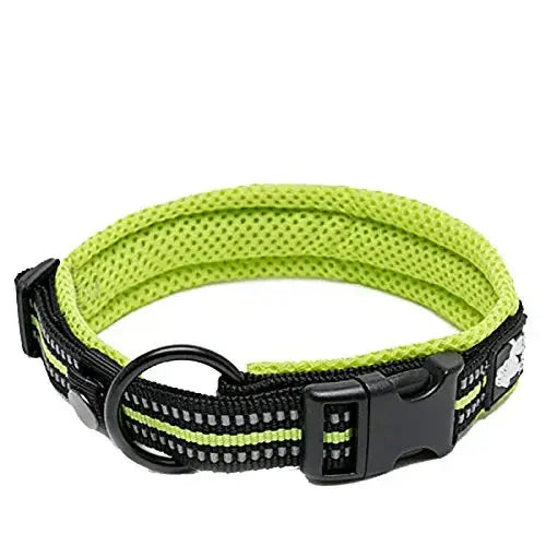 TrueLove Nylon Dog Collar Reflective Padded Adjustable Training