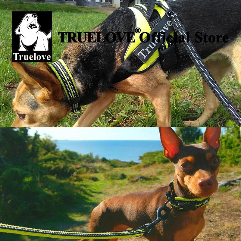 TrueLove Nylon Dog Collar Reflective Padded Adjustable Training
