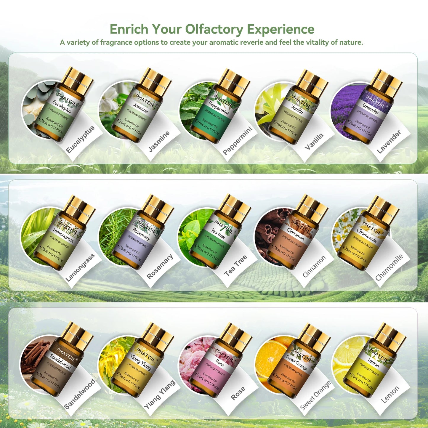 PHATOIL 15-Piece Essential Oil Set for Diffuser Assorted Fragrance Oils