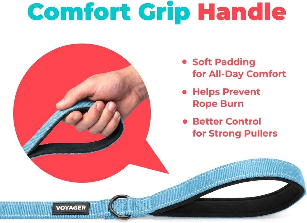 Reflective Dog Leash With Neoprene Handle For Walking And Training