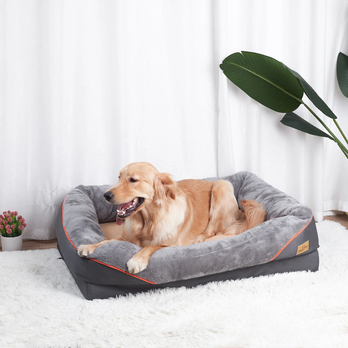 BINGOPAW Comfortable Waterproof Dog Bed With Removable Washable Cover