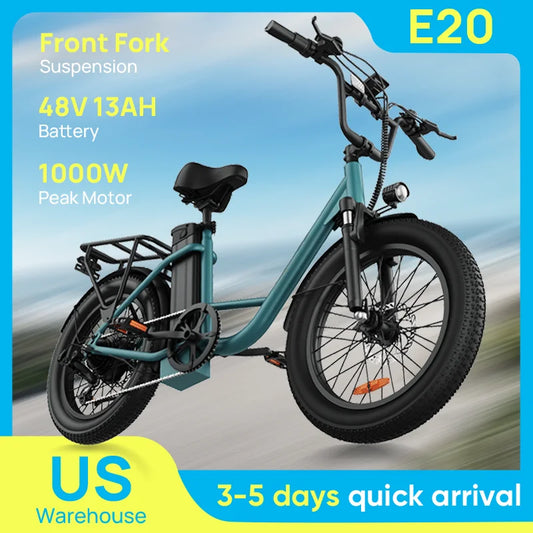 URLIFE 1000W E20 Electric Bike With 48V 13Ah Battery
