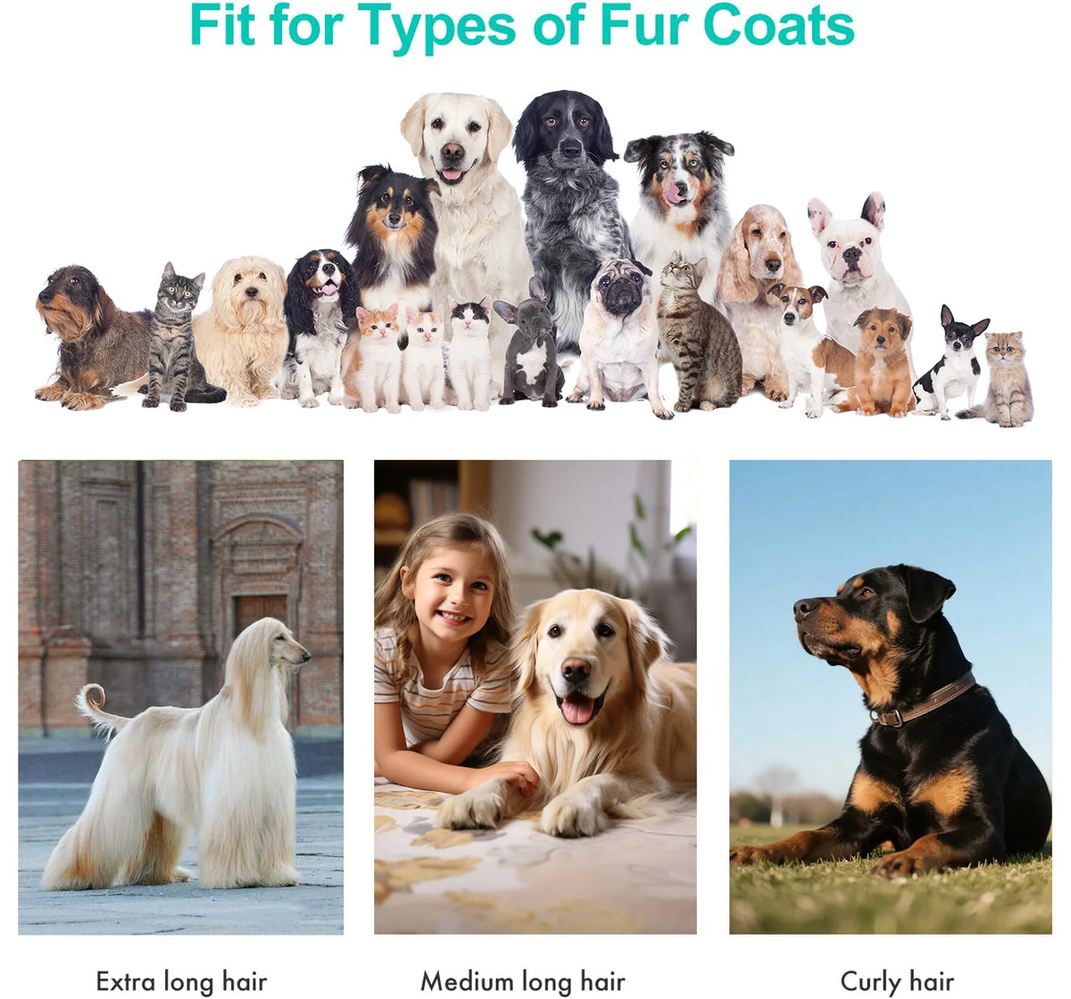 Pet Grooming Vacuum Kit With Professional Clipper And Hair Removal