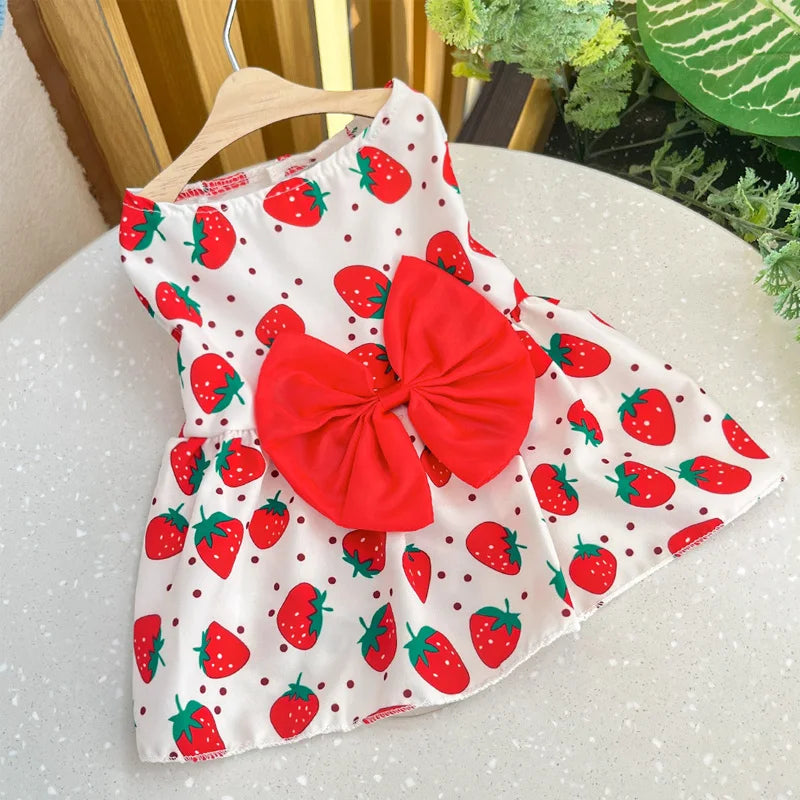Puppy Skirt Dress For Small Dogs Princess Lace Bow Costume