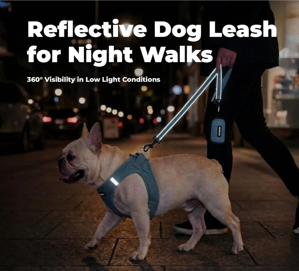 Reflective Dog Leash With Neoprene Handle For Walking And Training
